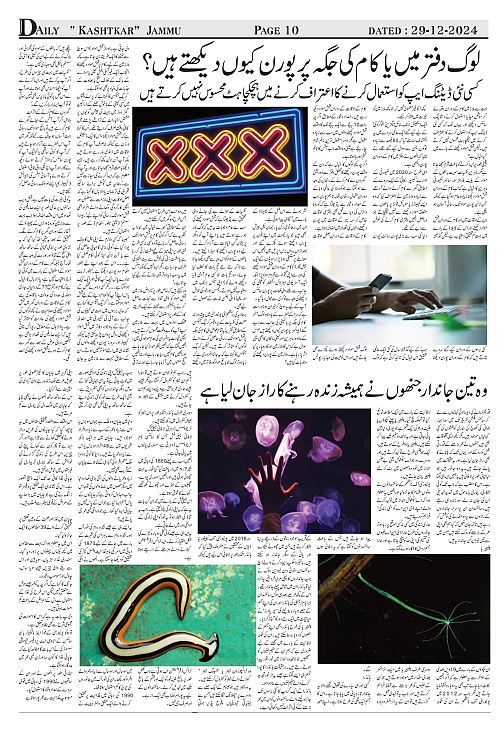 kashtkar 29-12-2024-10