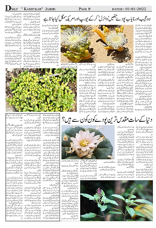 kashtkar 01-01-2025-09